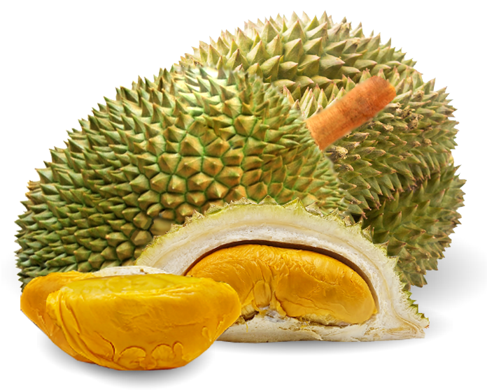 Frozen Durian දුරියන්